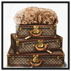 sleeping POODLE