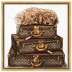 sleeping POODLE