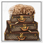 sleeping POODLE