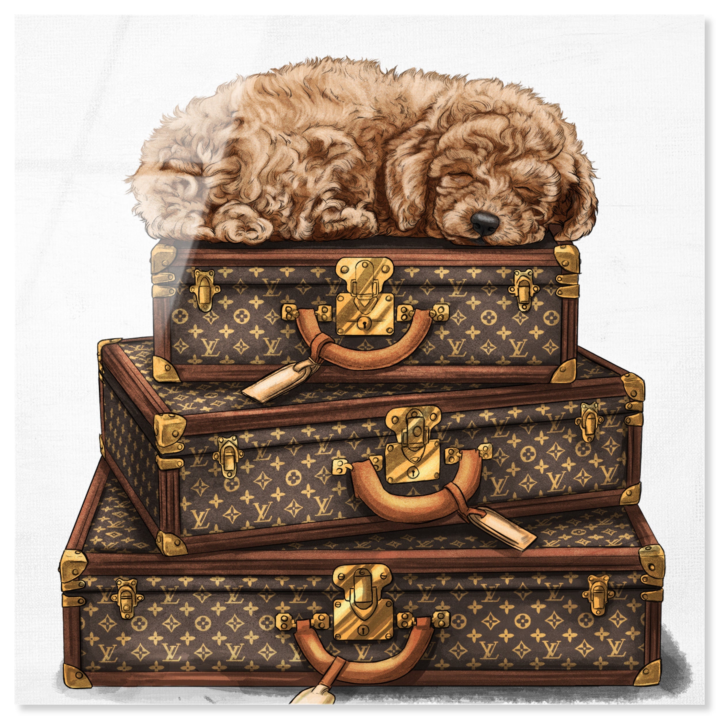 sleeping POODLE Main image