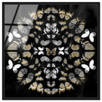 Butterfly K Night