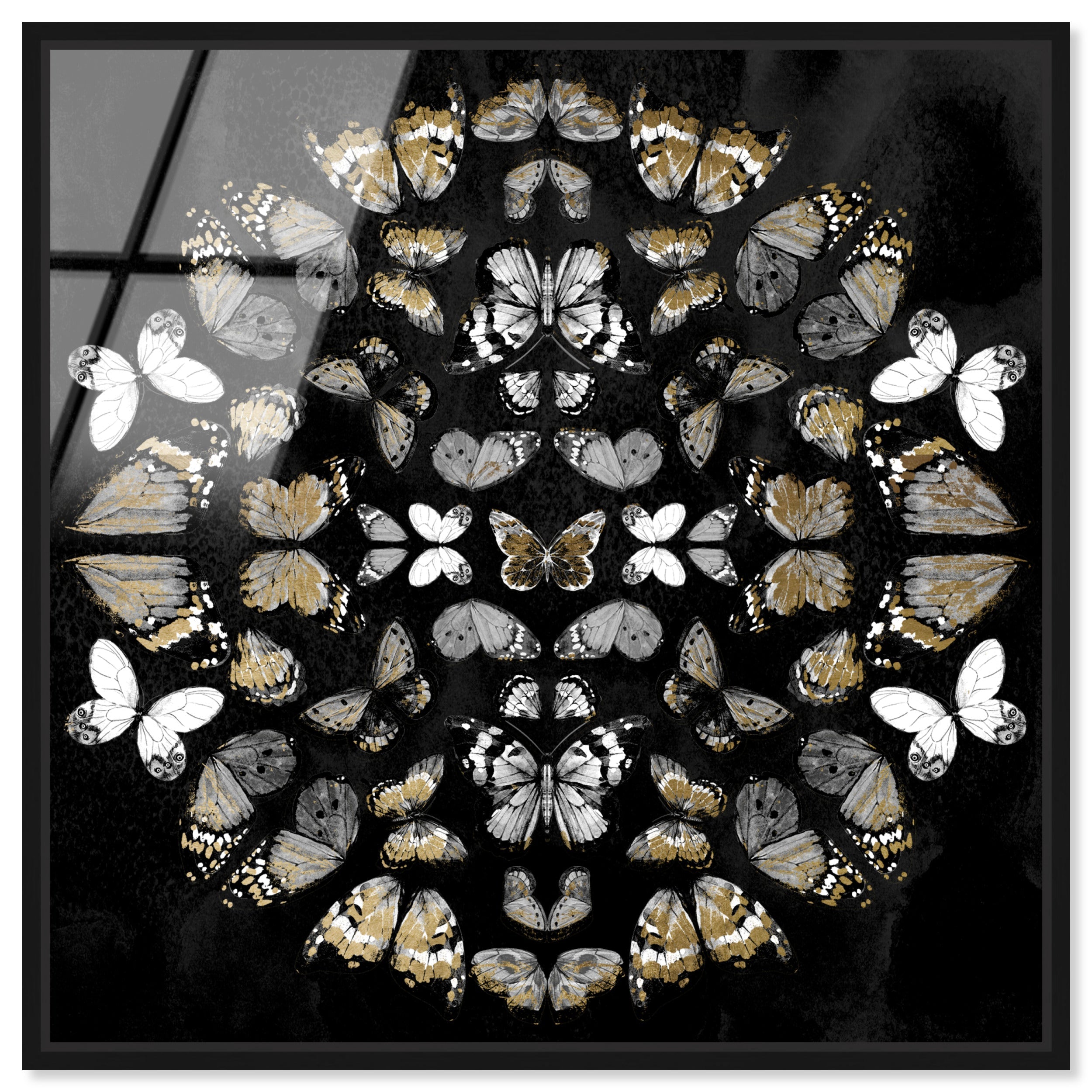 Butterfly K Night