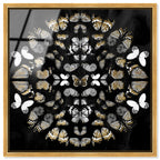Butterfly K Night