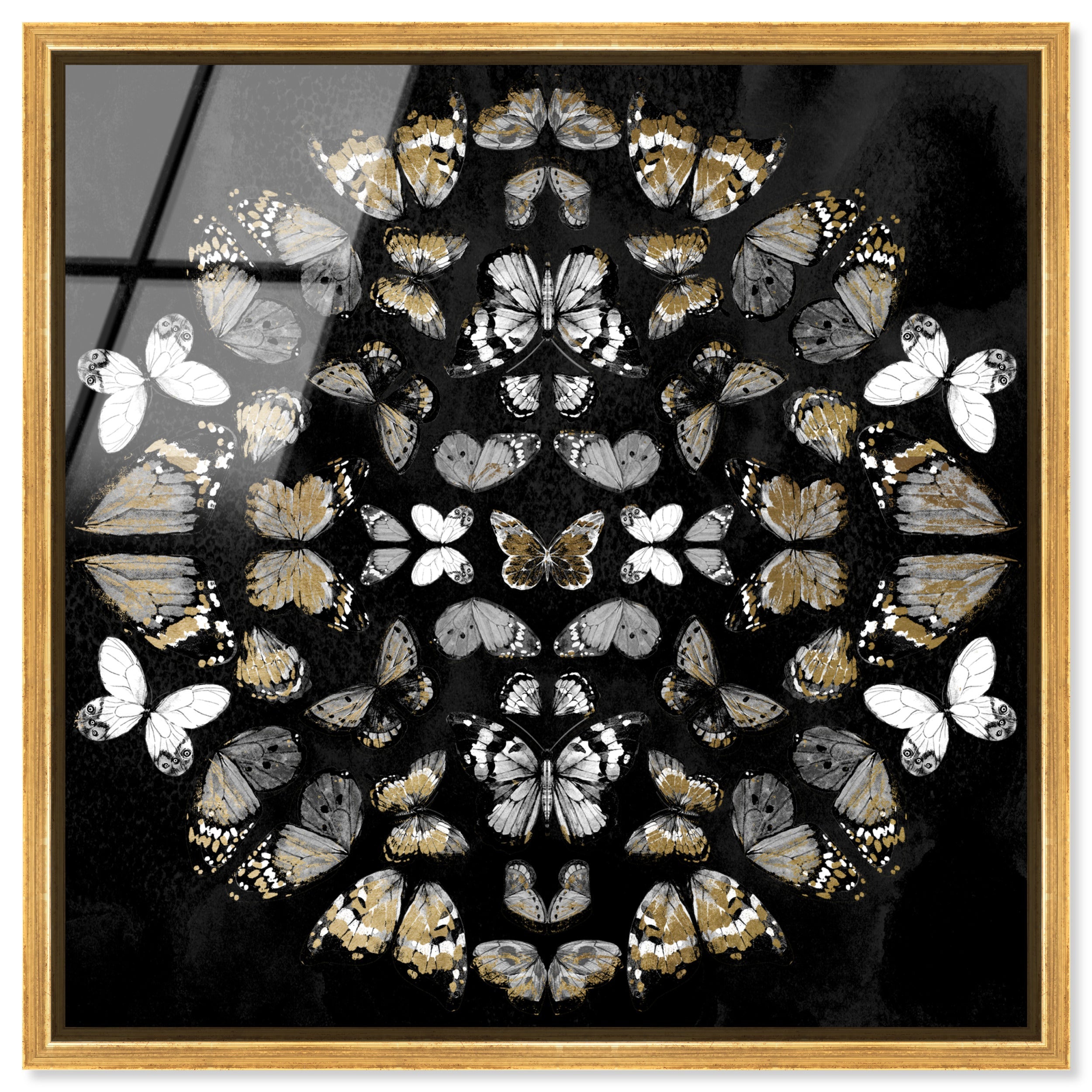 Butterfly K Night