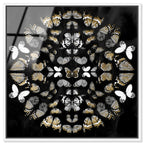 Butterfly K Night
