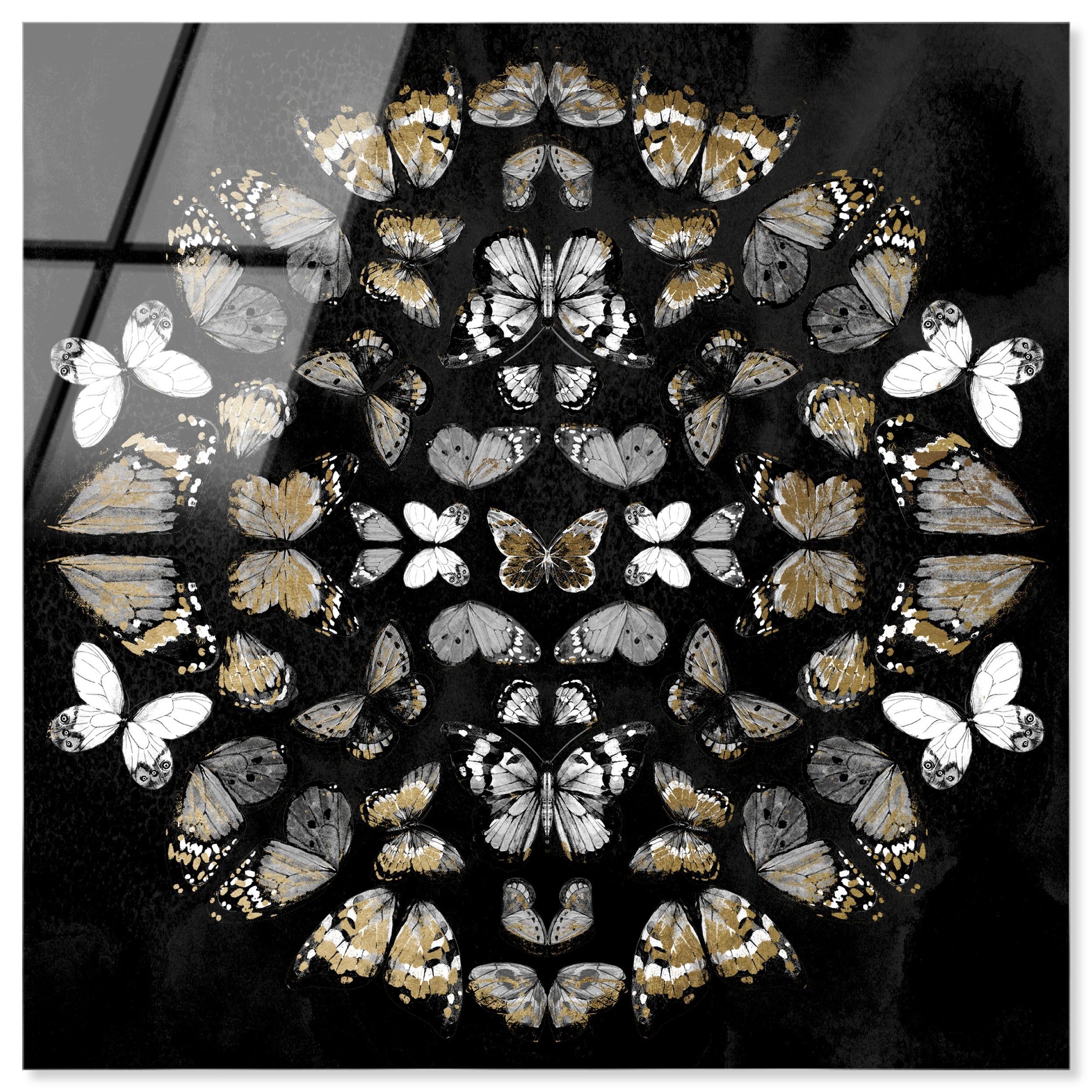 Butterfly K Night Main image