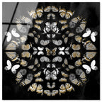 Butterfly K Night