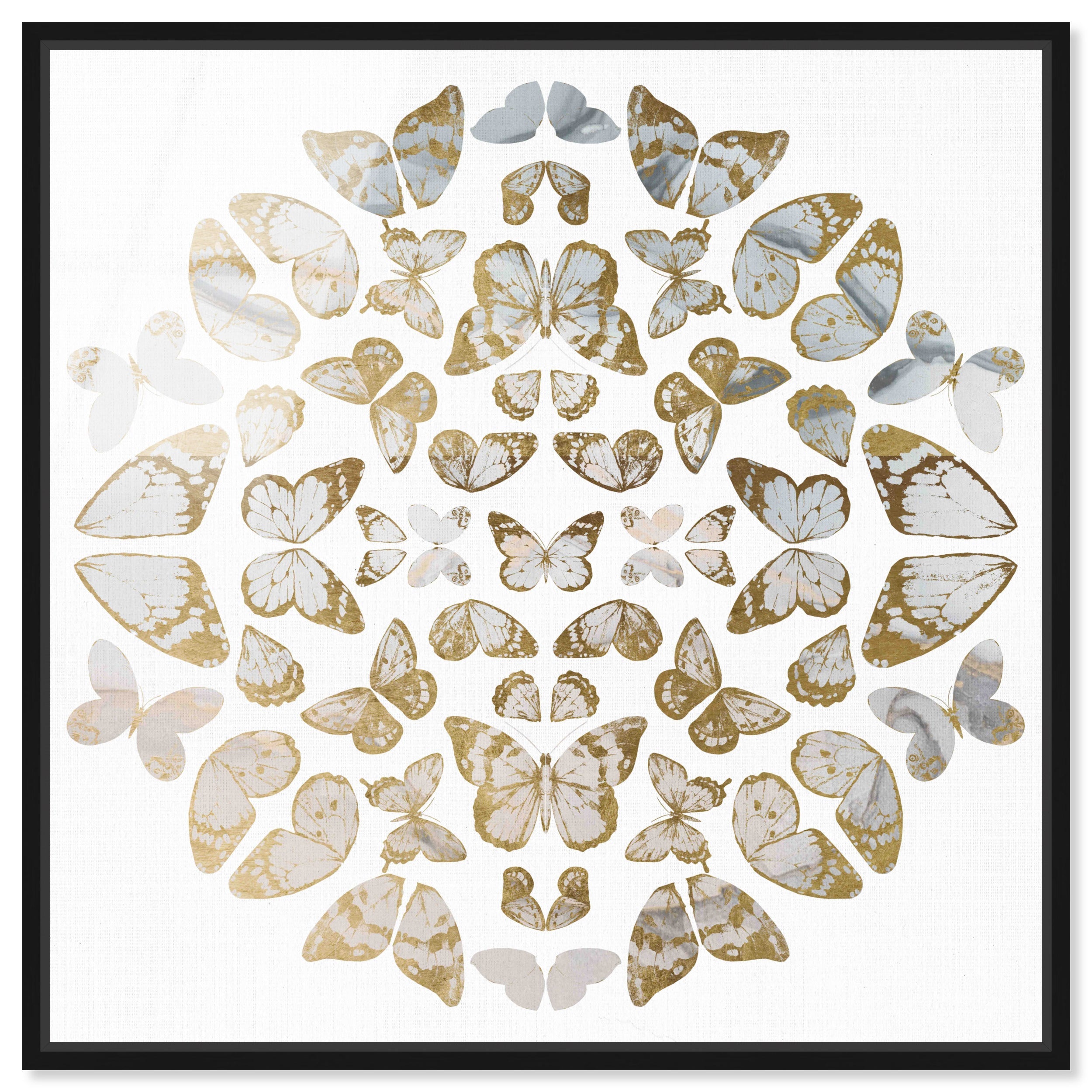 Butterfly Dreaming