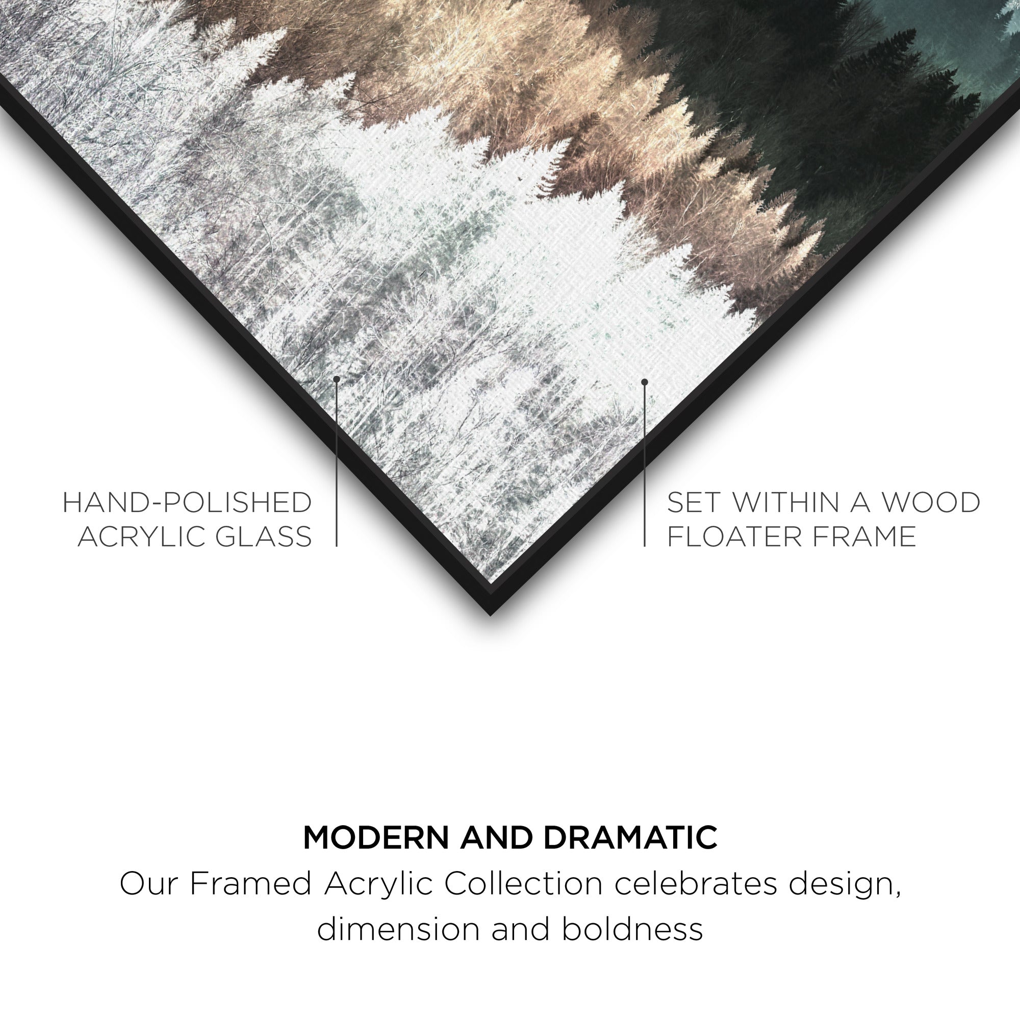 Pine Forest Watercolor