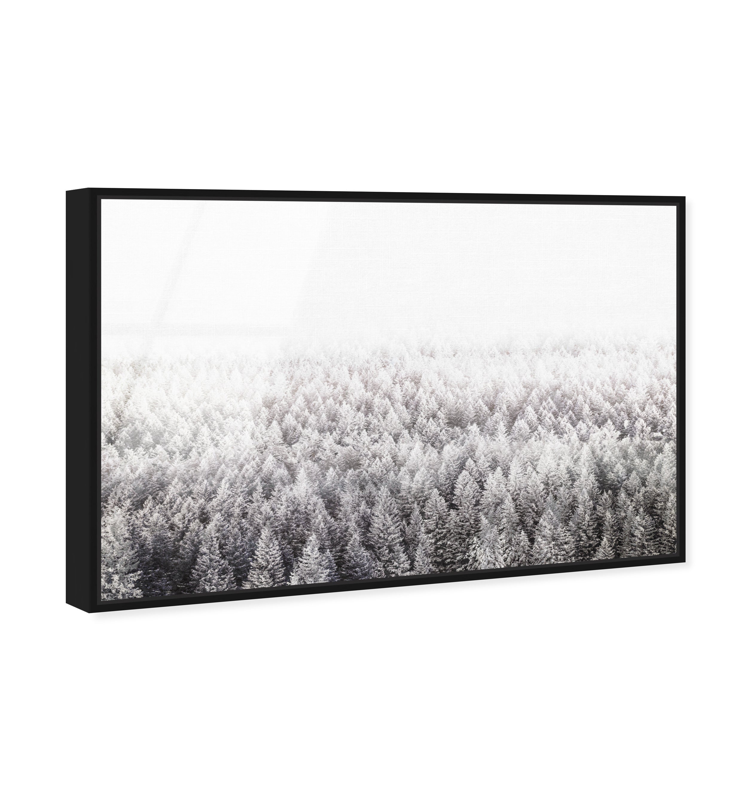 Pine Forest  Gray