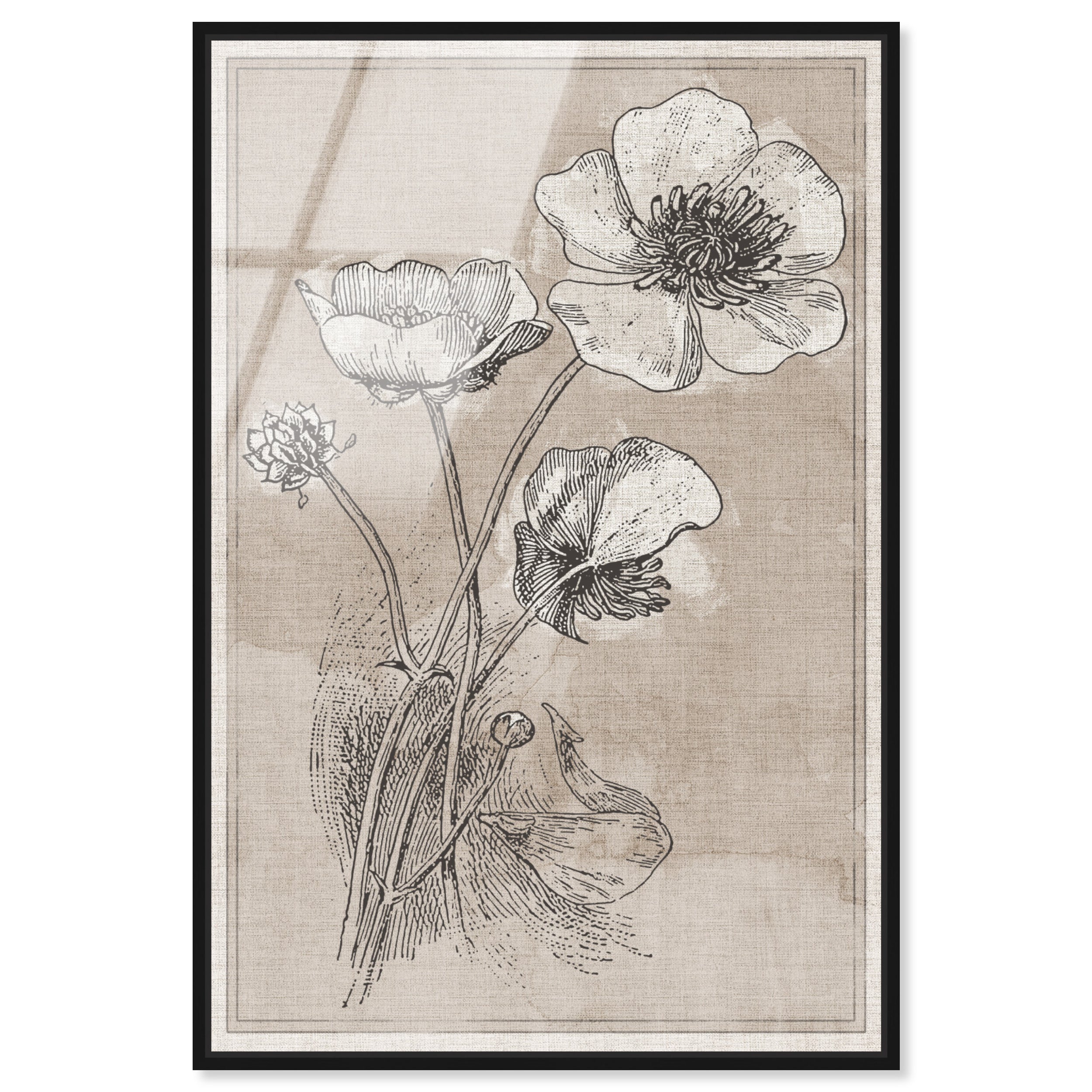 Poppies on Linen