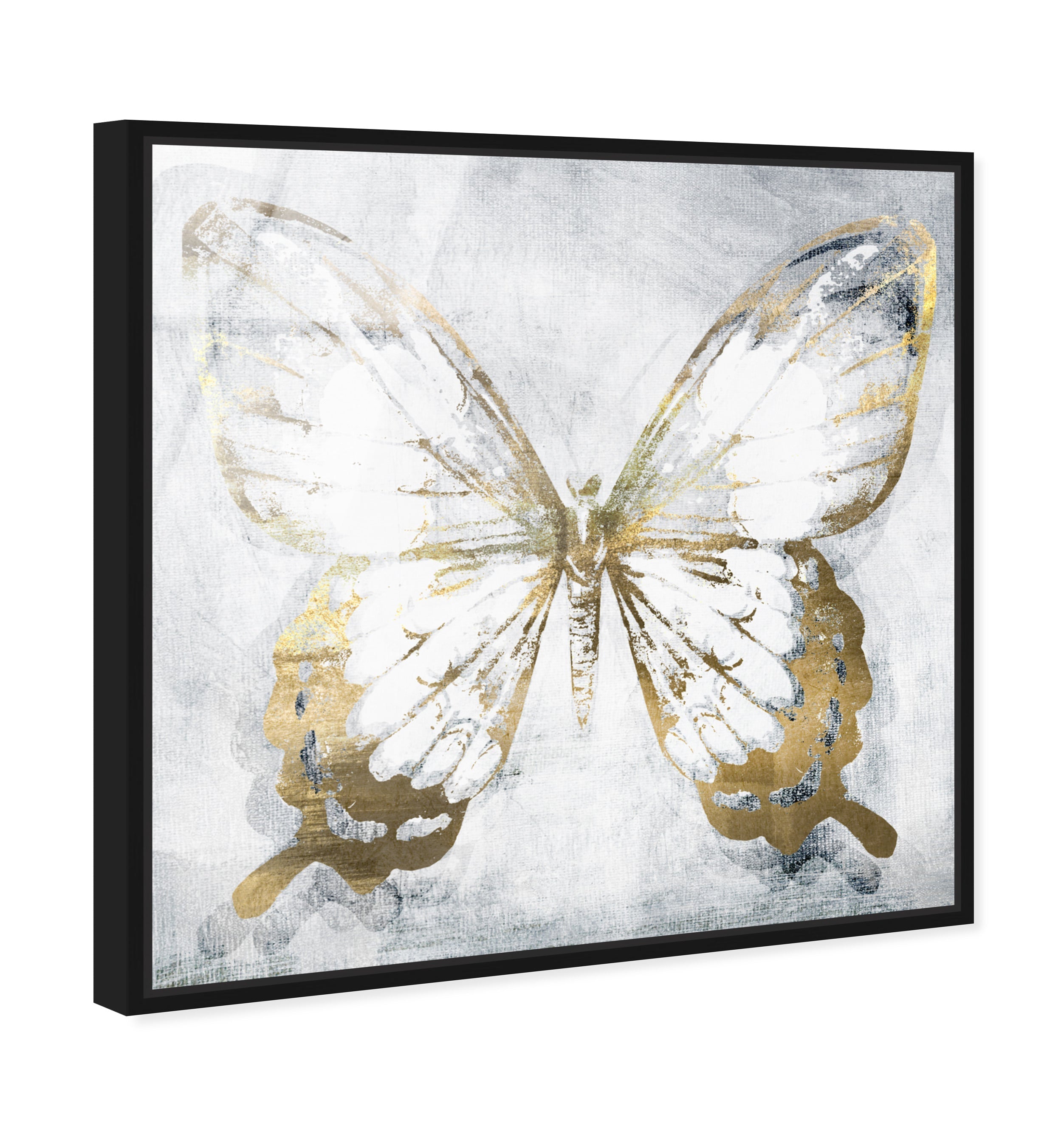Butterfly Eroded