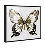 Butterfly Gold and Black