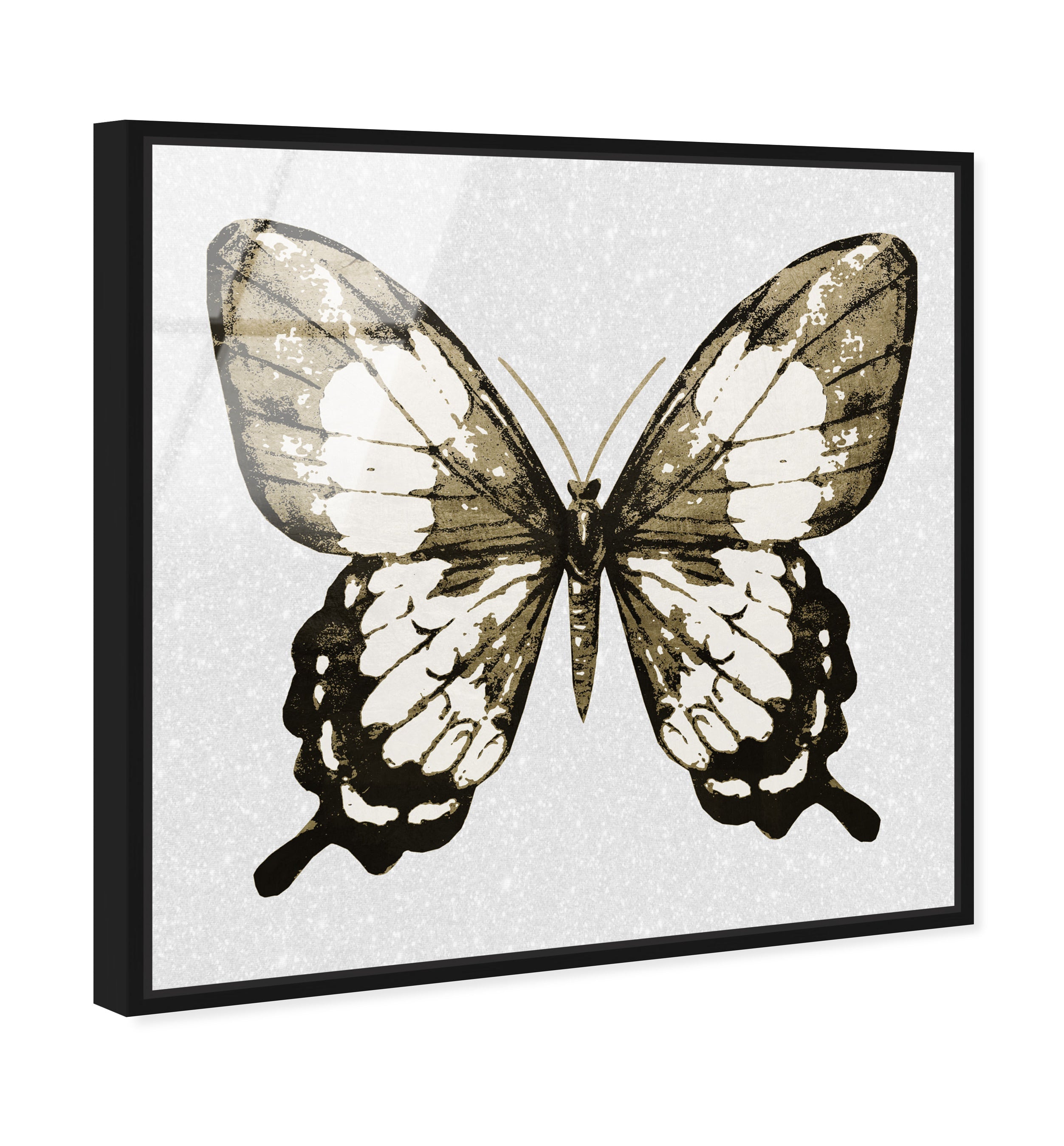 Butterfly Gold and Black