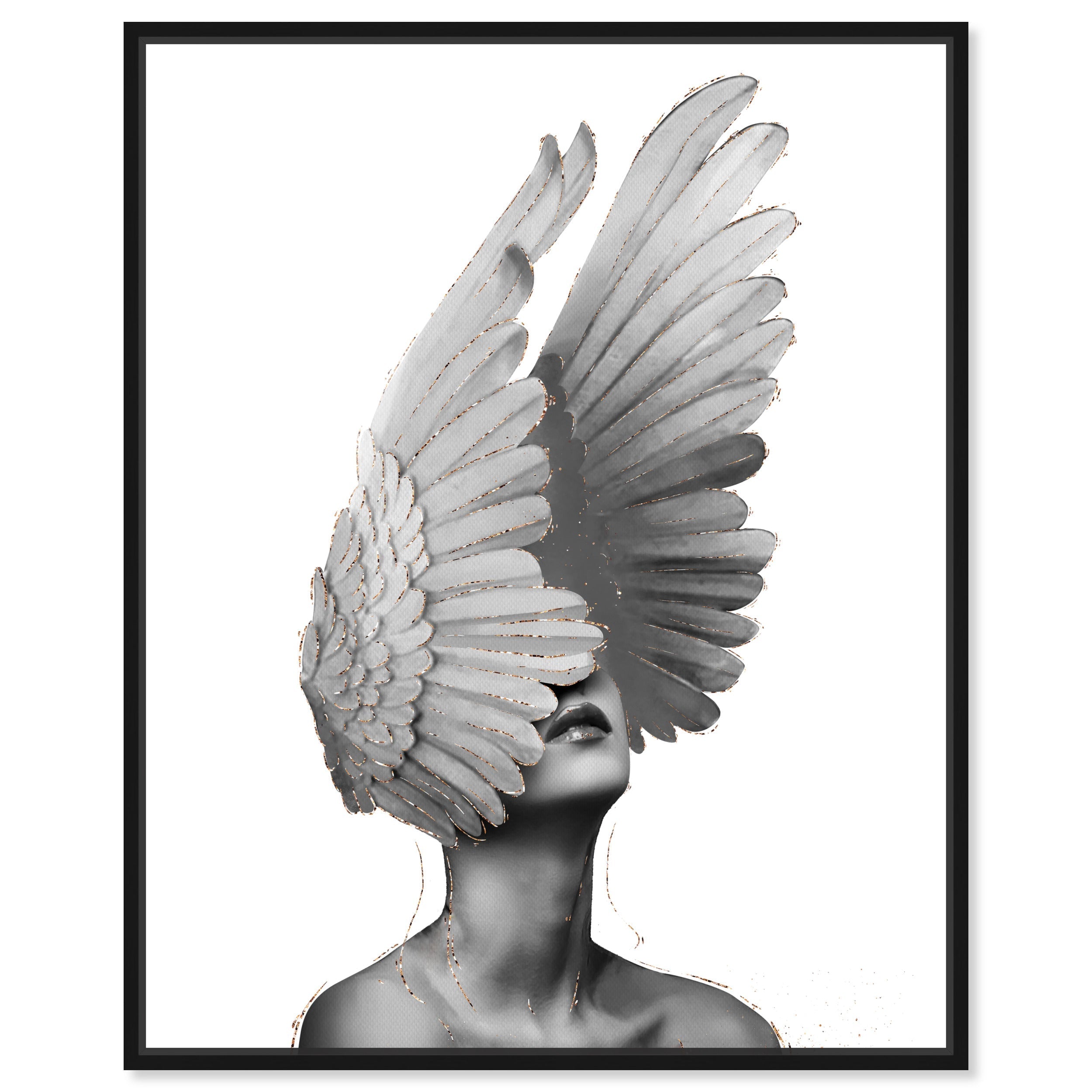 Spread Your Wings