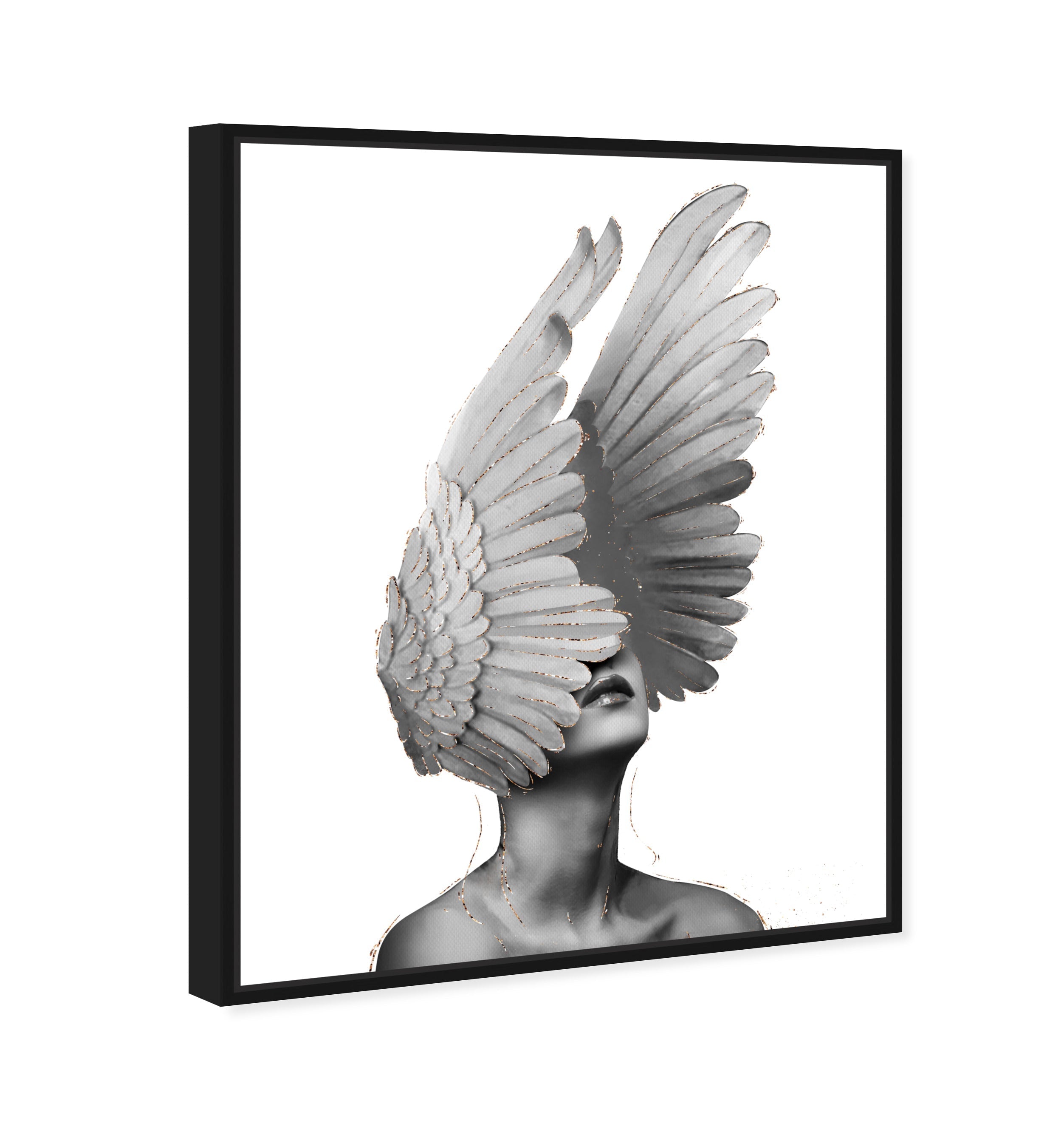 Spread Your Wings