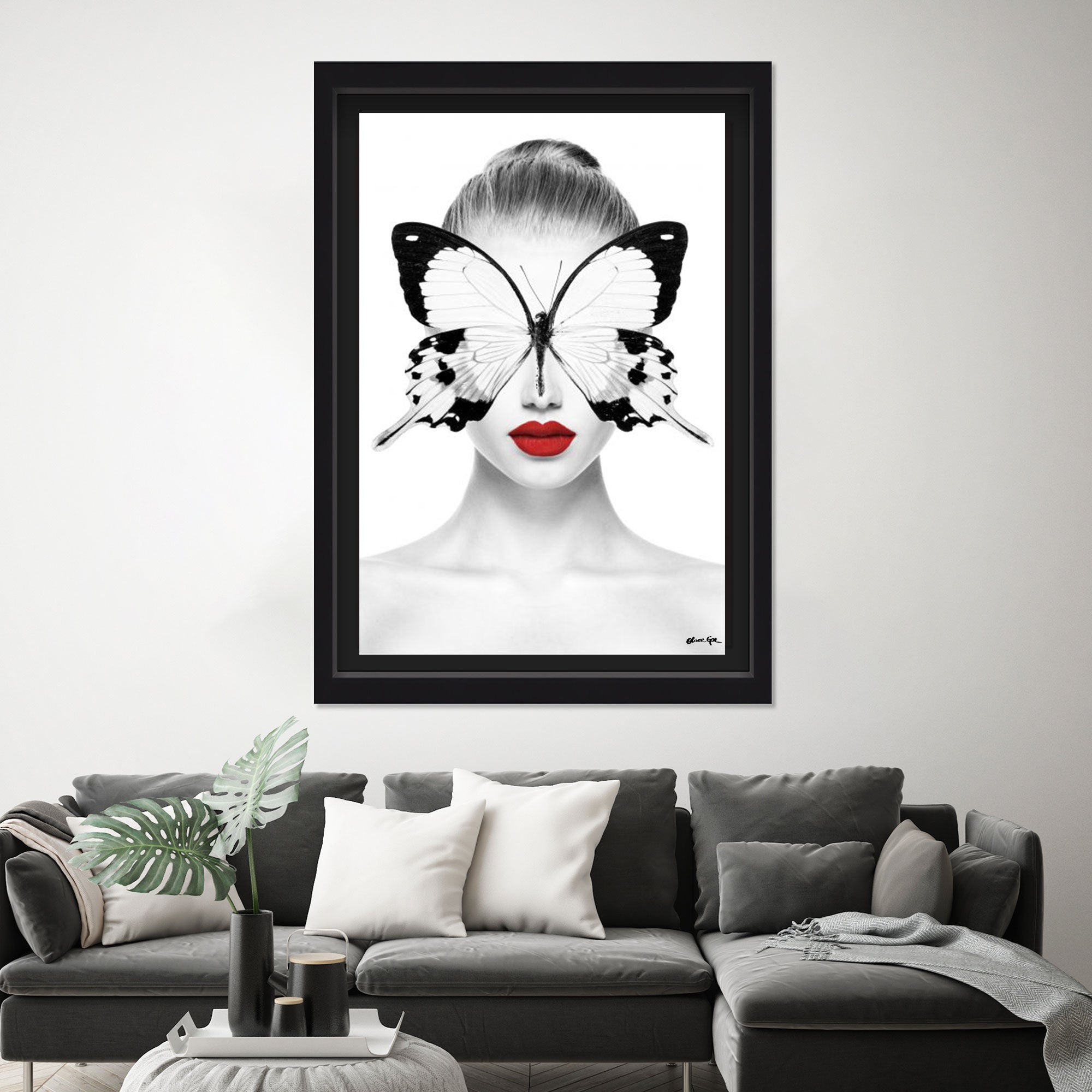 Red Duchess - Displayed in a shadowbox