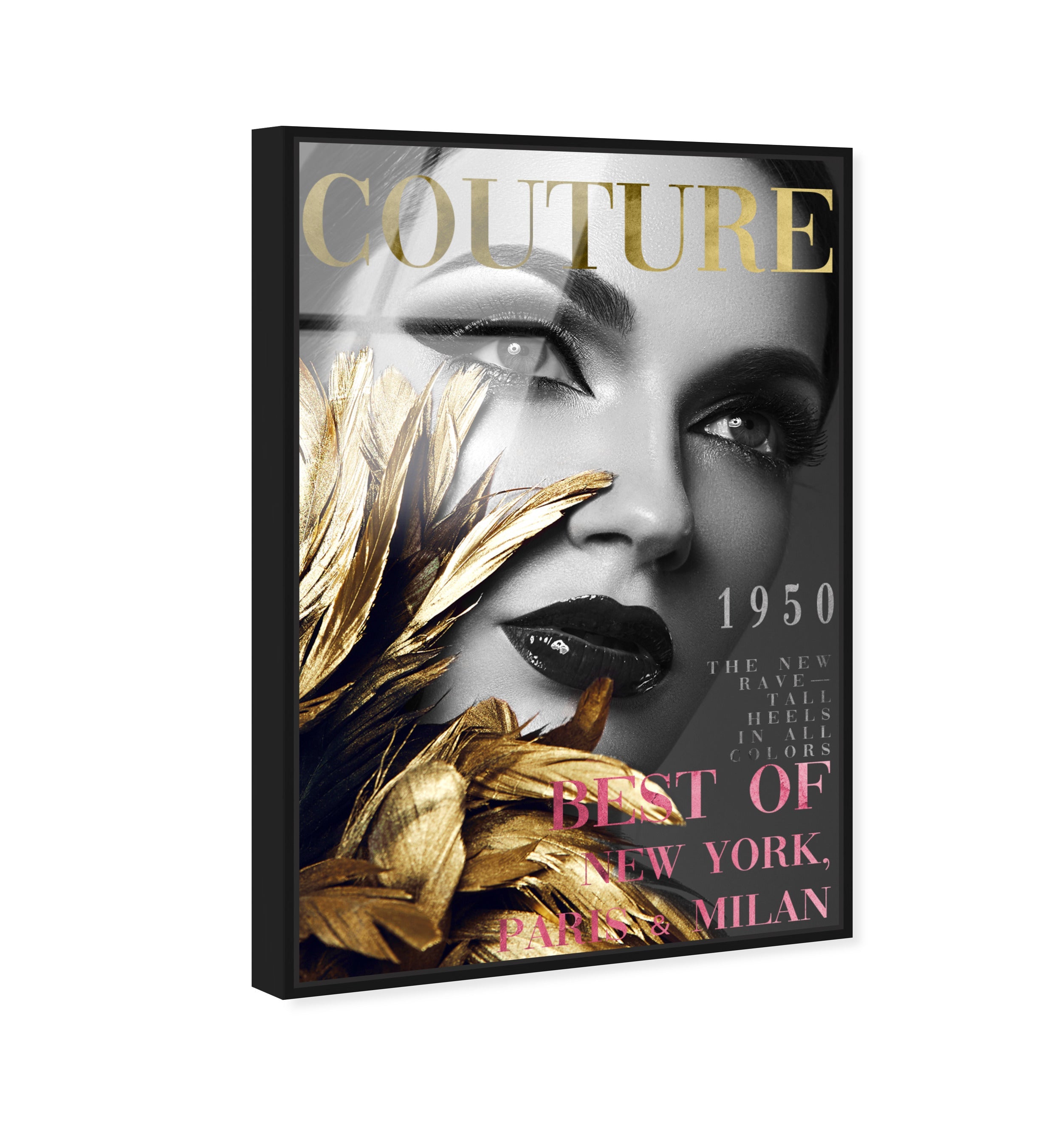 Cover Fashion Feathered Couture