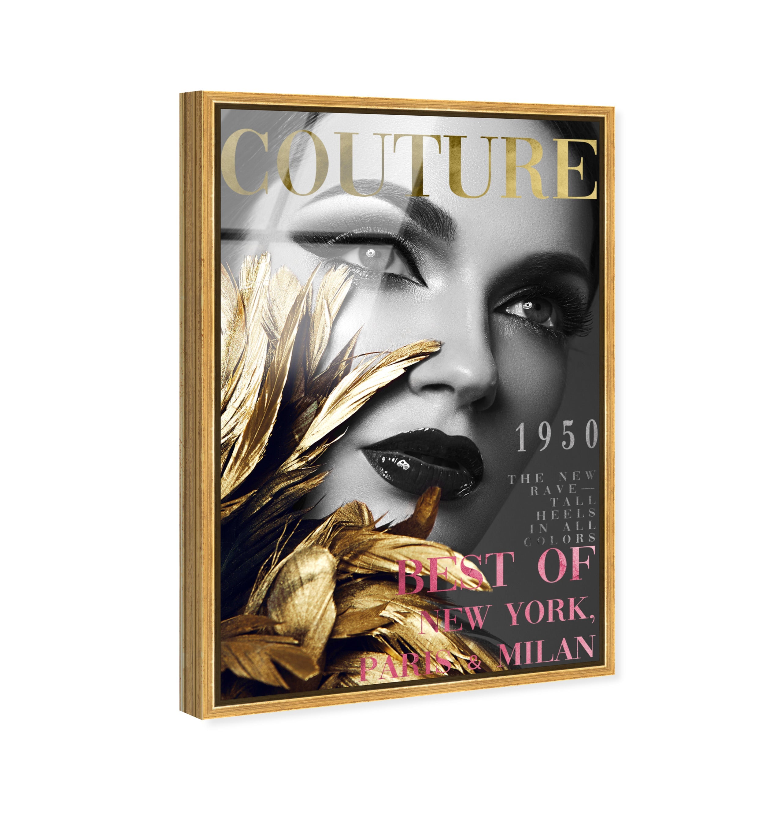 Cover Fashion Feathered Couture