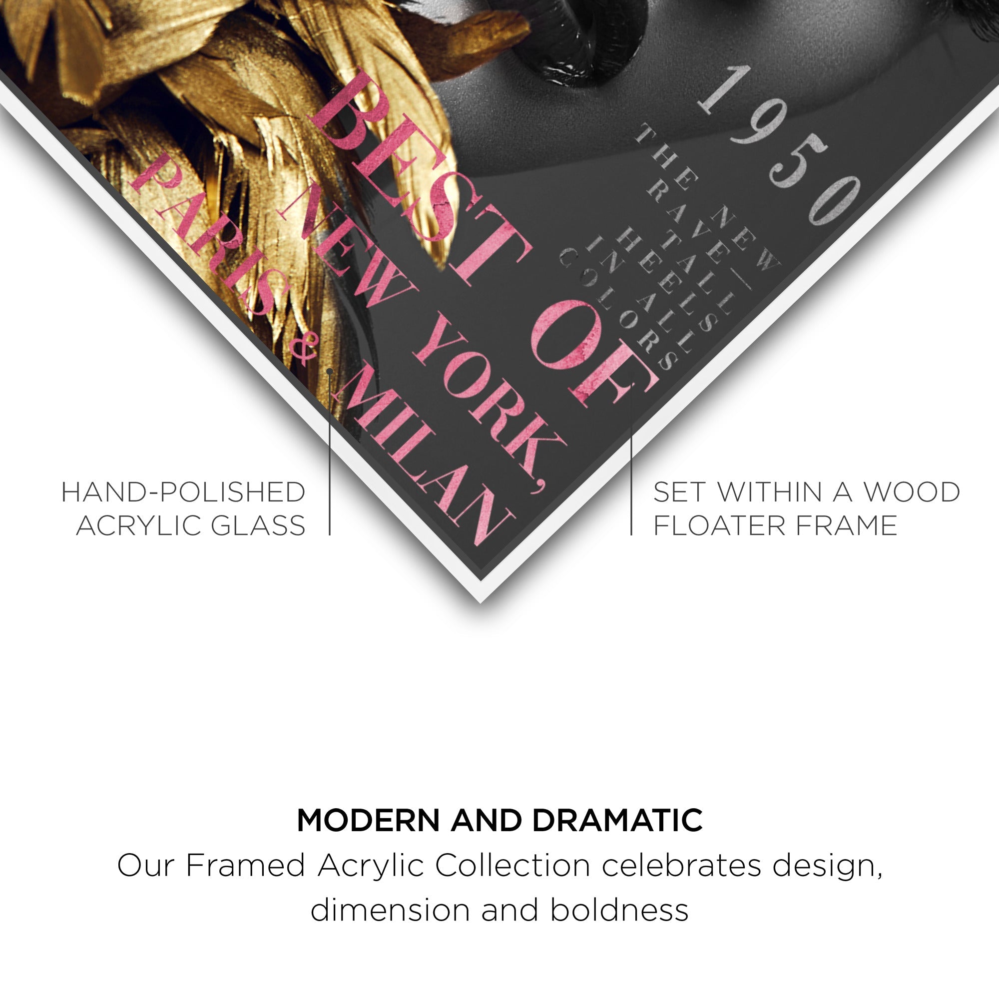 Cover Fashion Feathered Couture