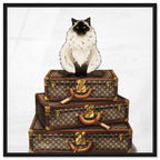 Siamese Suitcase