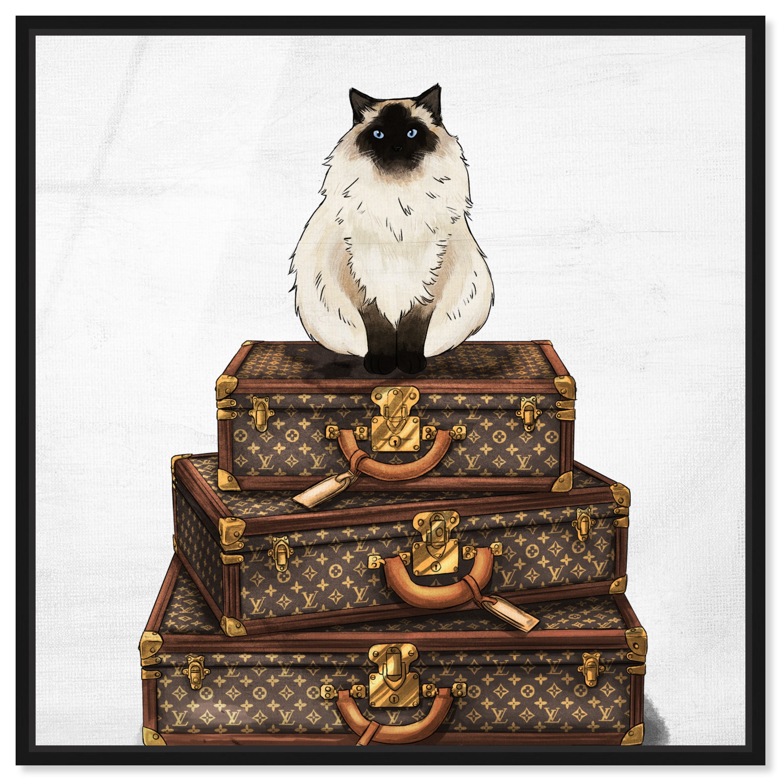 Siamese Suitcase