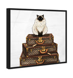 Siamese Suitcase