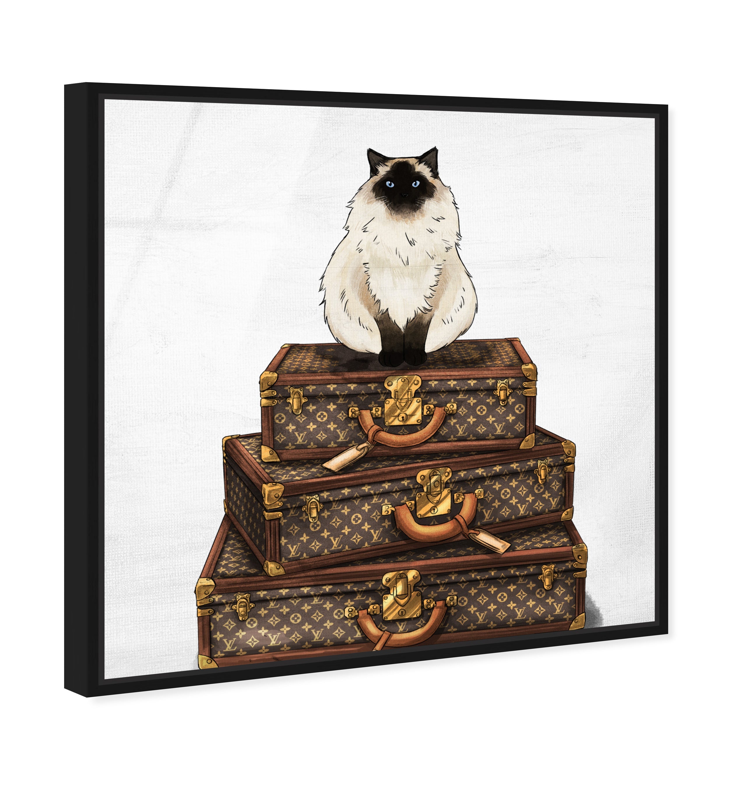 Siamese Suitcase