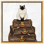 Siamese Suitcase