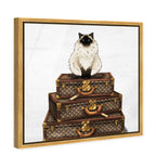 Siamese Suitcase