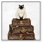 Siamese Suitcase