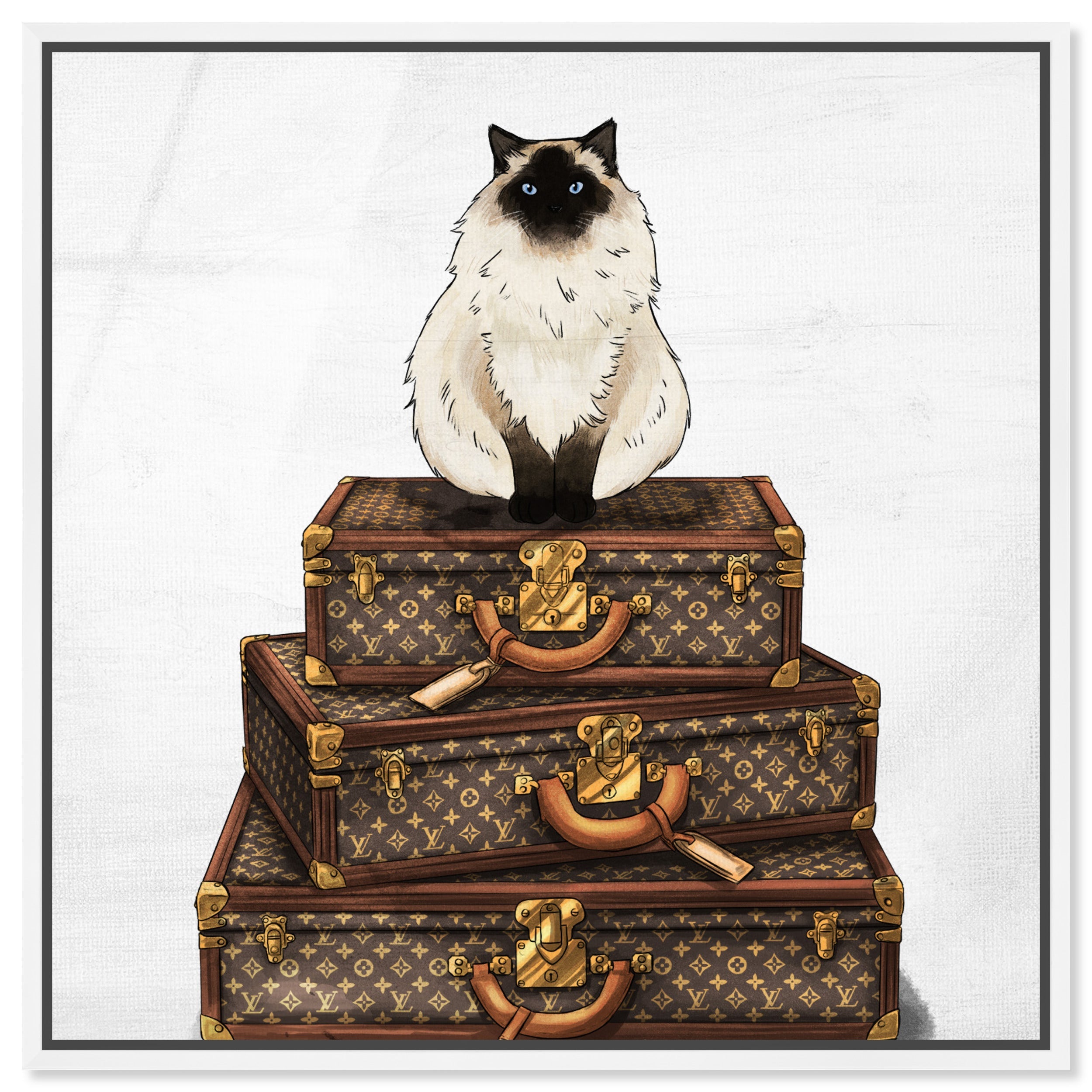 Siamese Suitcase