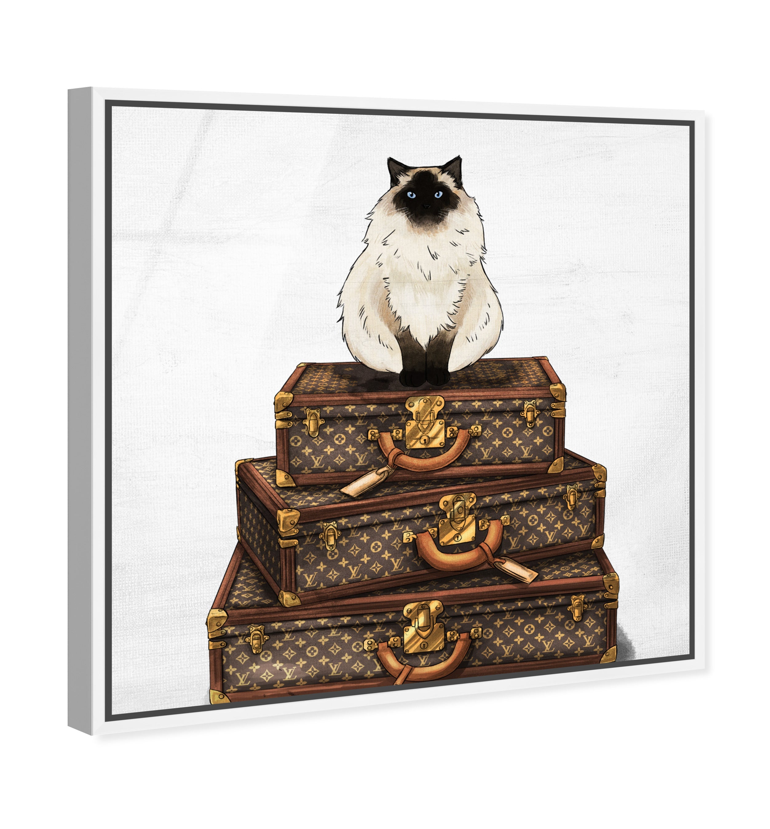 Siamese Suitcase