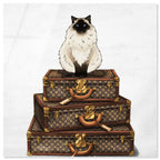 Siamese Suitcase
