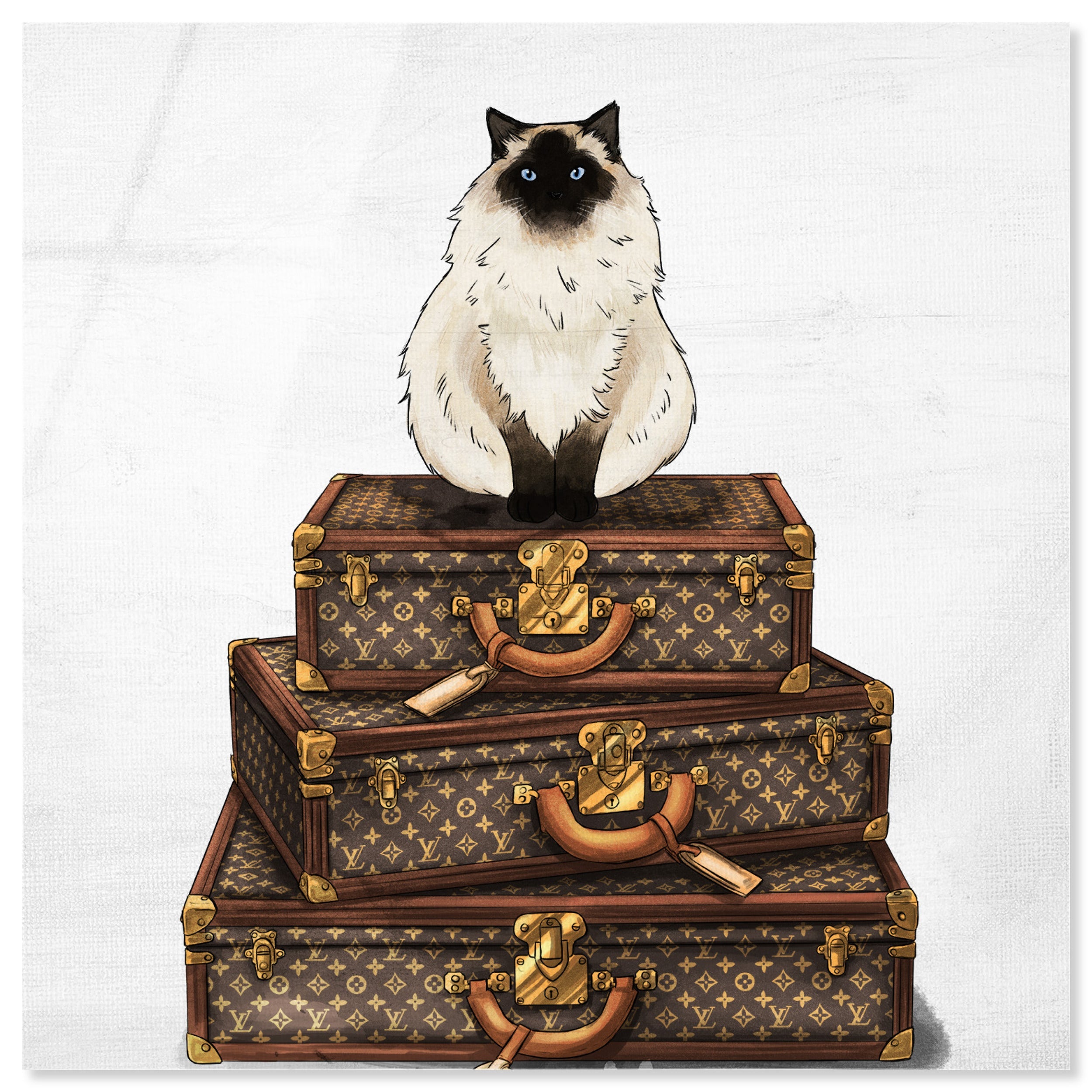 Siamese Suitcase