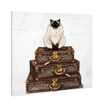 Siamese Suitcase