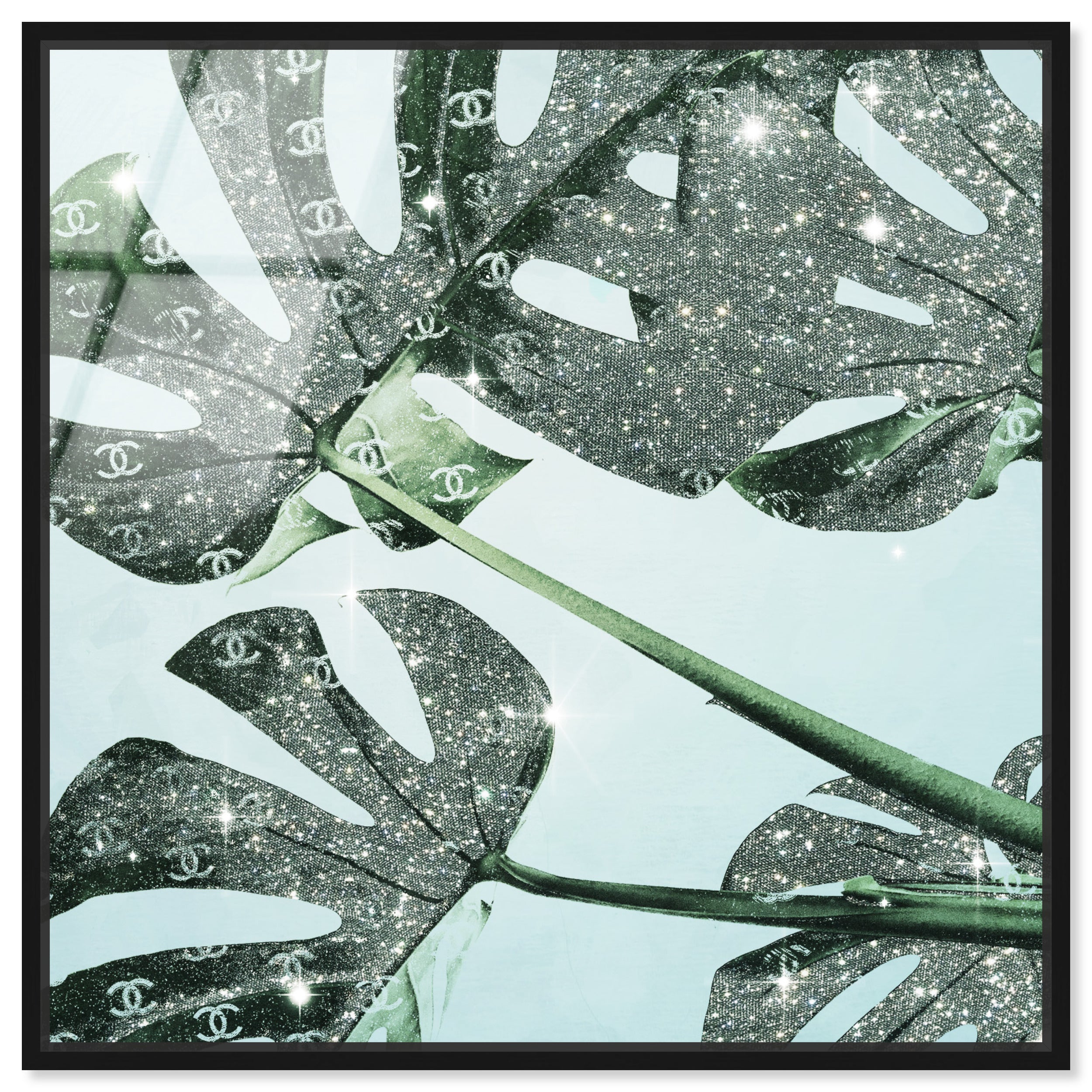 Glistening Monstera