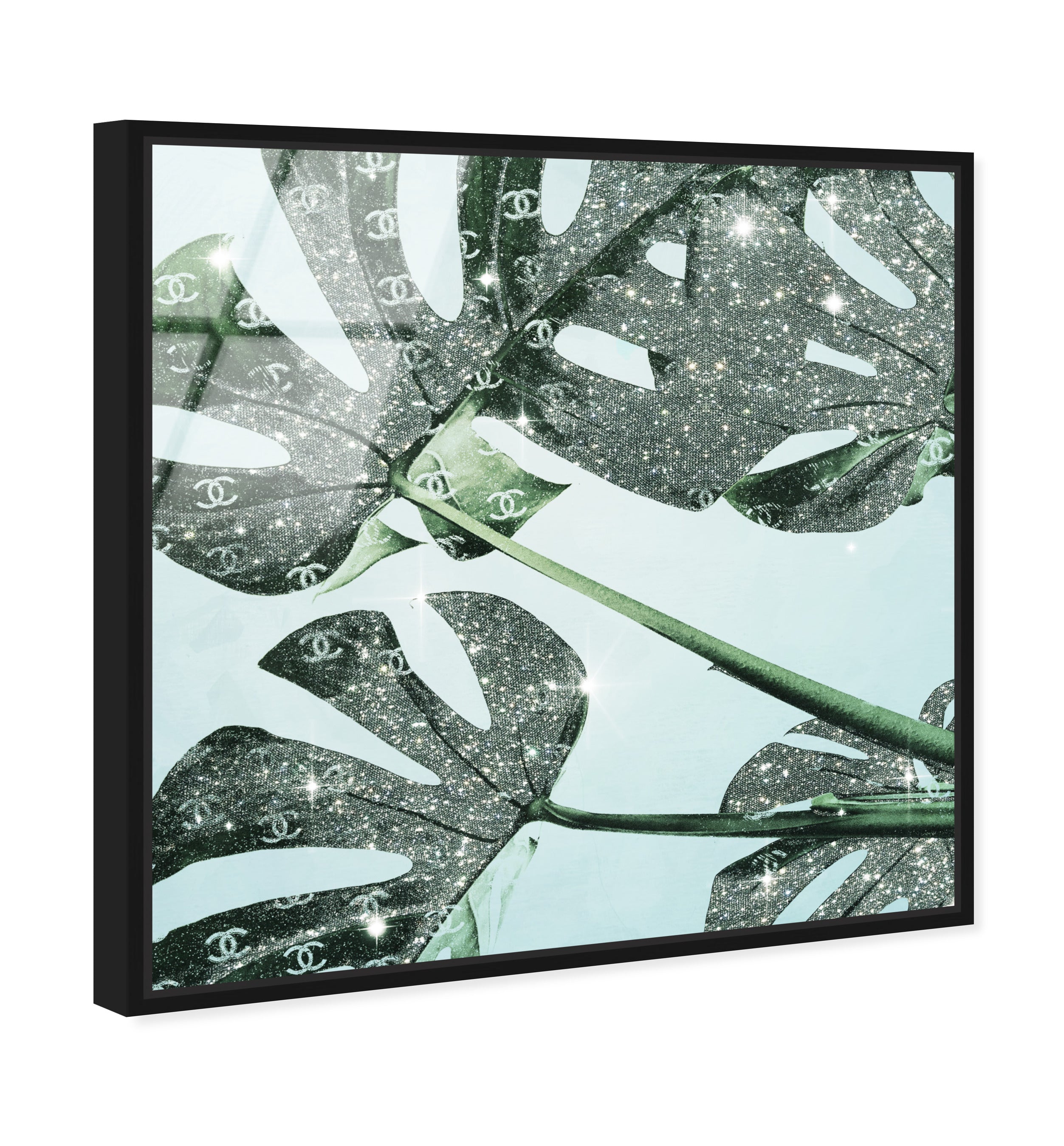 Glistening Monstera
