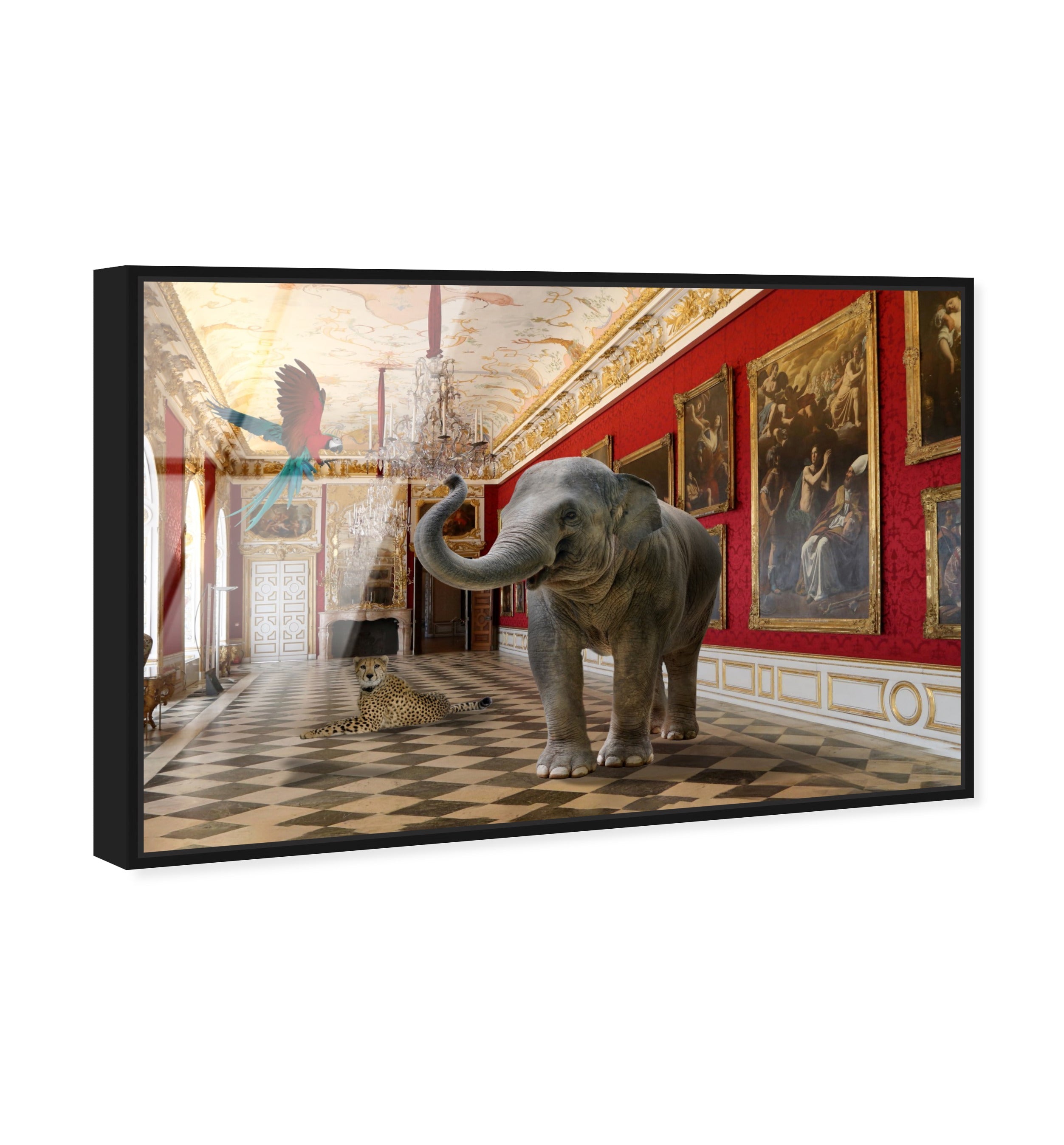 Delicate as an Elephant can Be