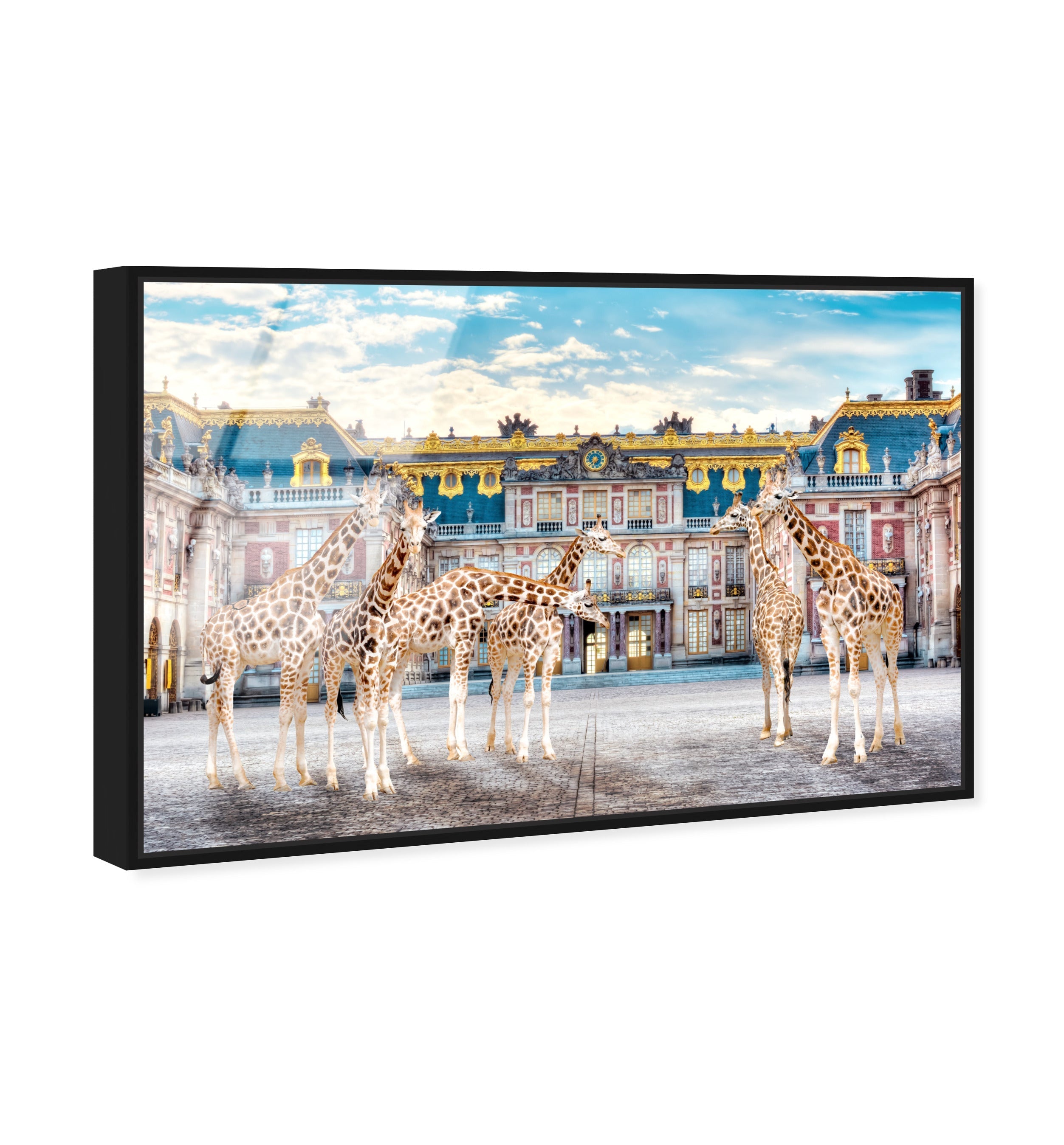 Giraffe Palace Assembly