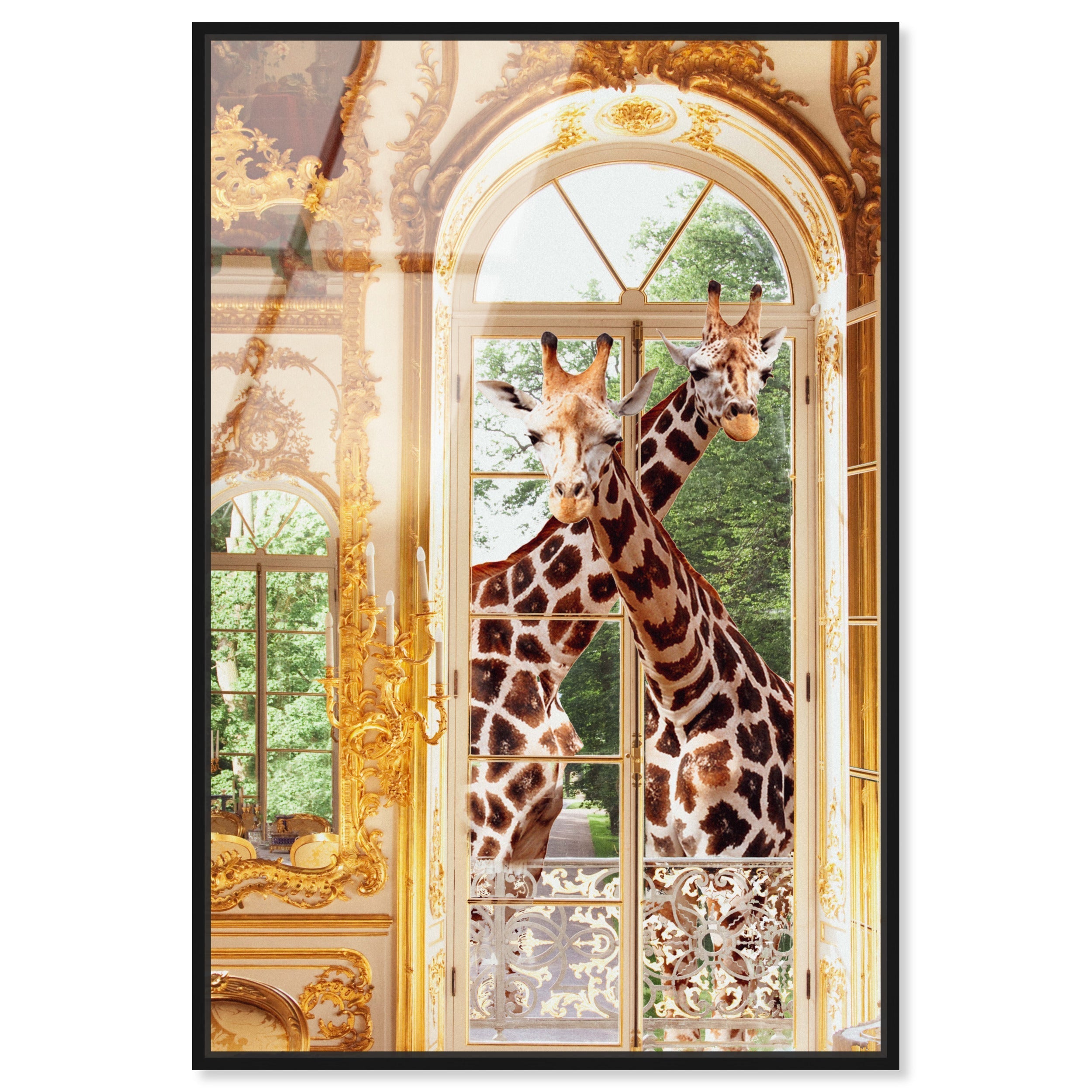 Giraffes Joined For Breakfast