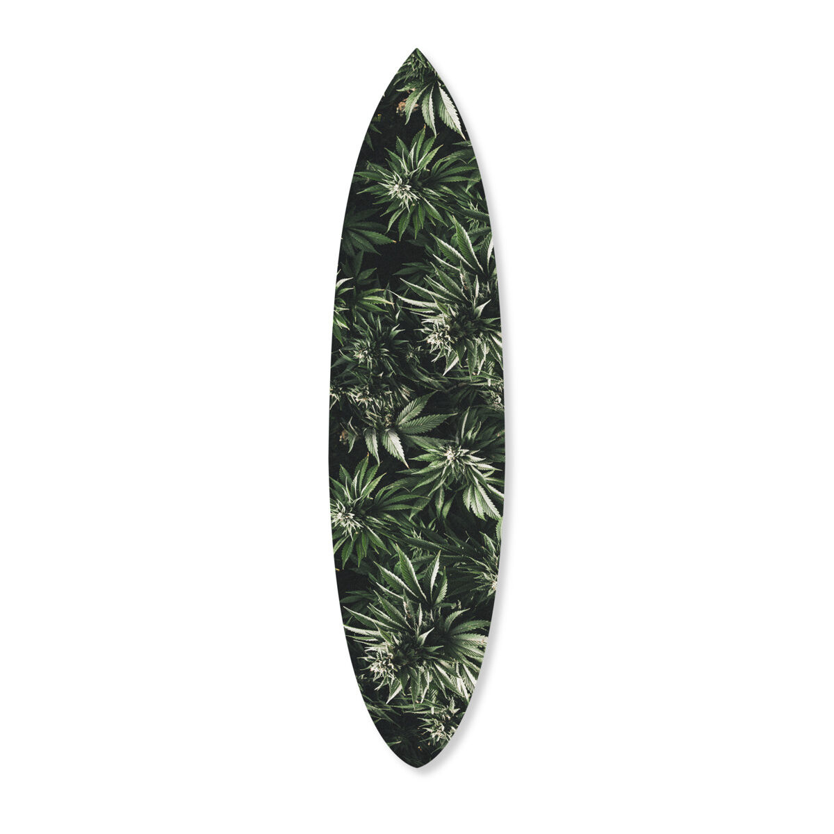 Mary Jane Surfboard