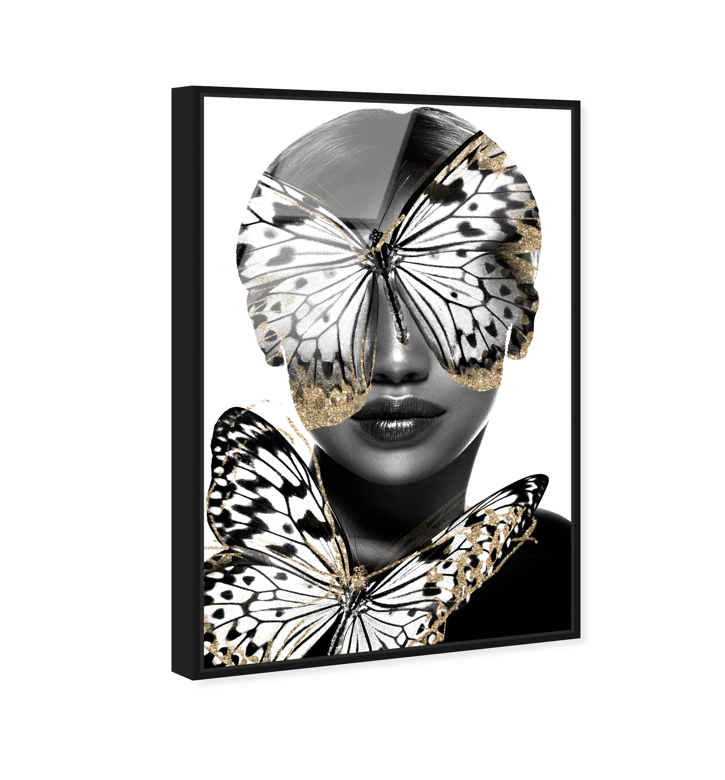 Royalty of Monarch Wings