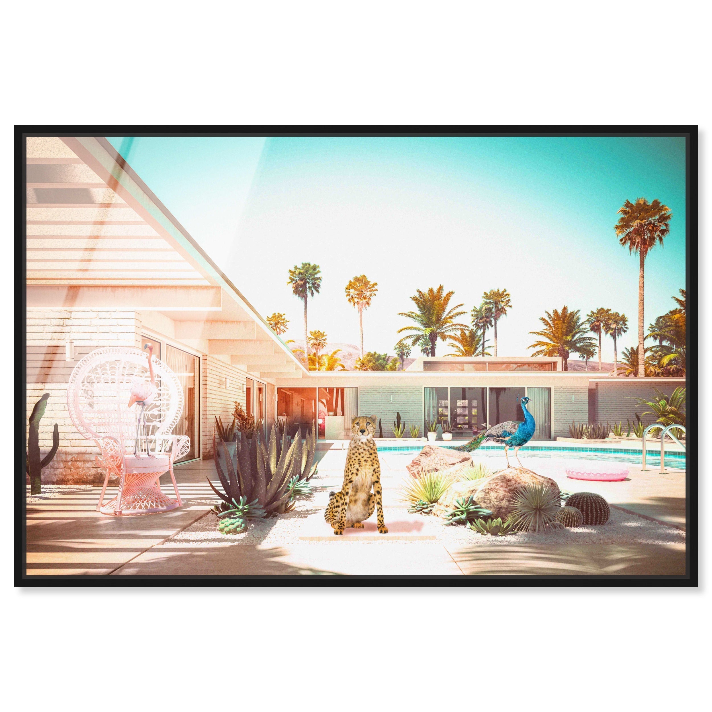Palm Springs Crew