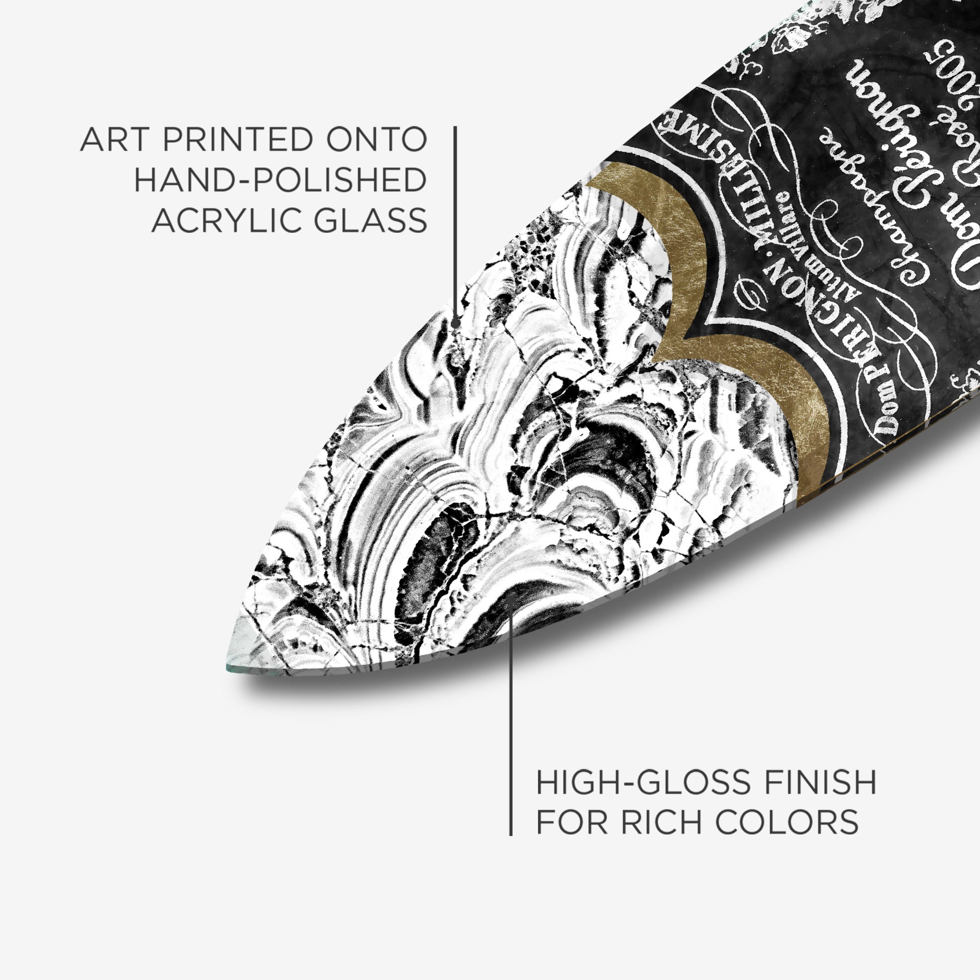Gilded Beast | Surfboard Gallery Wall
