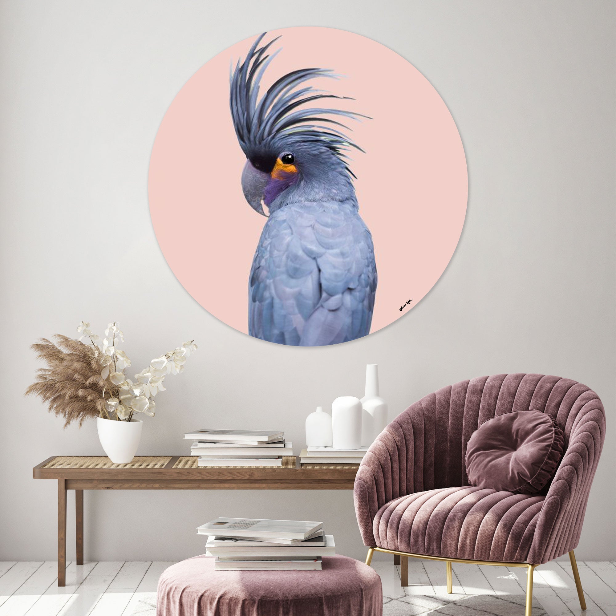 Blue Exotic Cackatoo Round - Acrylic panel Main image