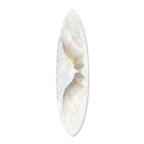 Winged Soul Surfboard Flat