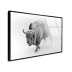A Wild Bill - Framed Acrylic Art
