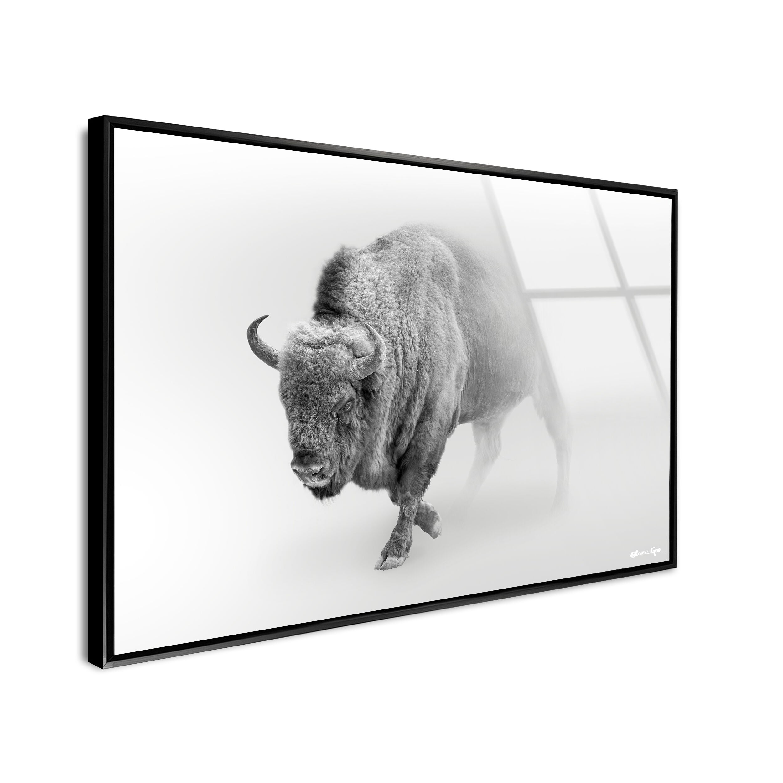 A Wild Bill - Framed Acrylic Art