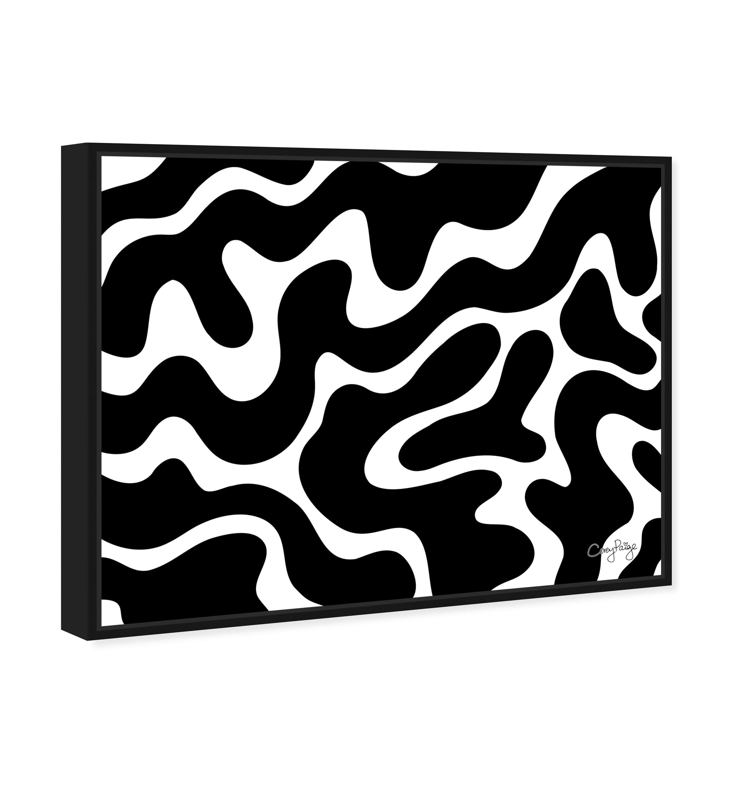 Corey Paige - Black &amp; White Abstract